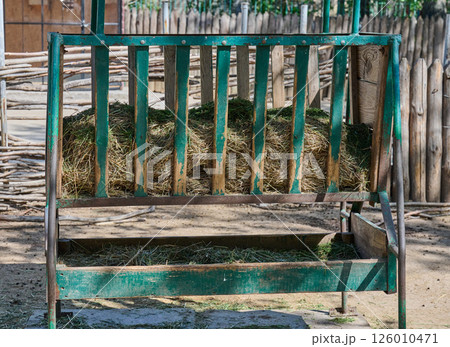 Rustic green metal hay feeder filled with dry hay. 126010471