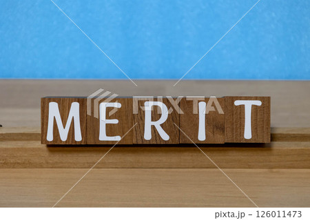 文字ブロック　MERIT メリット 126011473