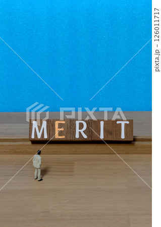 文字ブロック MERIT メリット 文字ブロック MERIT メリット 126011717