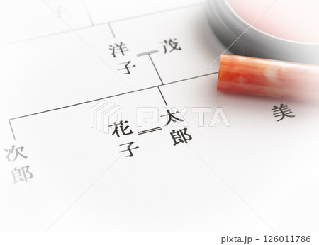 家系図　夫婦　結婚　戸籍　DINKs　共働き 126011786