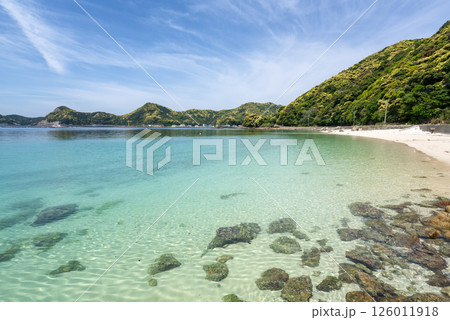 白浜砂浜海岸 126011918