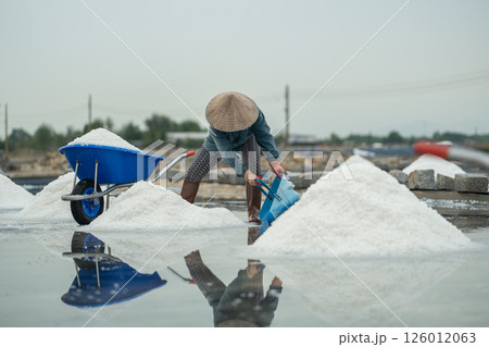 Worker collect salt from pools in Hon Knoi Vietnam using buckets for transport, mineral site mining Worker collect salt from pools in Hon Knoi Vietnam using buckets for transport, mineral site mining 126012063