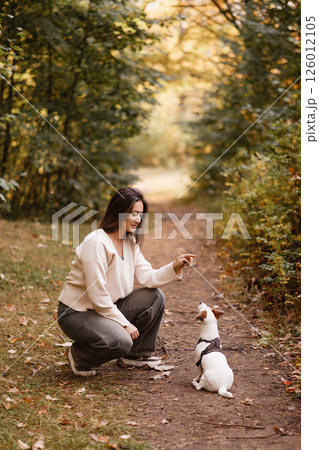 Woman training small dog during autumn walk in forest 126012105
