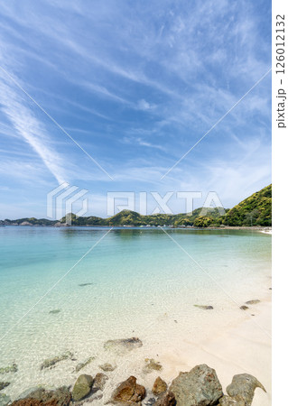 白浜砂浜海岸 白浜砂浜海岸 126012132