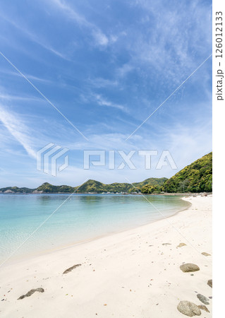 白浜砂浜海岸 白浜砂浜海岸 126012133