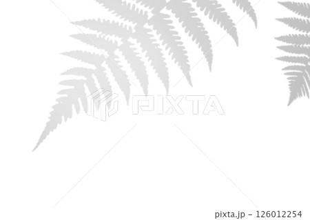 Fern branch shadow. Leaf shadow overlay. Sunlight trough the leaf. Nature organic shadow. Blurred Leaf shadow and light on wall background. 3d rendering Fern branch shadow. Leaf shadow overlay. Sunlight trough the leaf. Nature organic shadow. Blurred Leaf shadow and light on wall background. 3d rendering 126012254