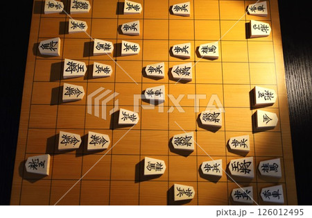 第83期名人戦第1局投了棋譜の盤面 126012495
