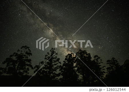 屋久島洋上アルプス　天の川と屋久杉(7月) 126012544