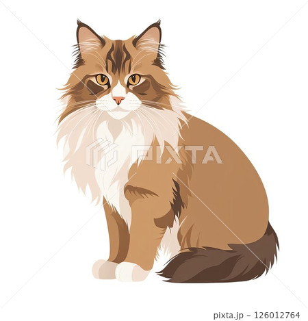 キュートな家猫のノルウェージャンフォレストキャット 126012764