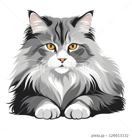 アーモンドような瞳で見つめるノルウェージャンフォレストキャット アーモンドような瞳で見つめるノルウェージャンフォレストキャット 126013132
