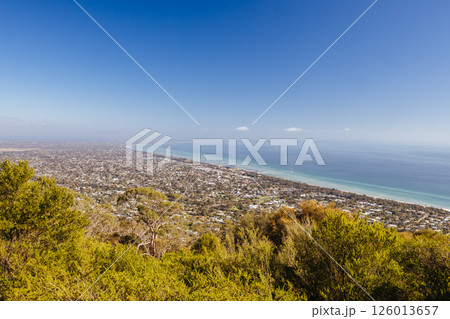 Seawinds Garden in Mornington Peninsula Australia 126013657