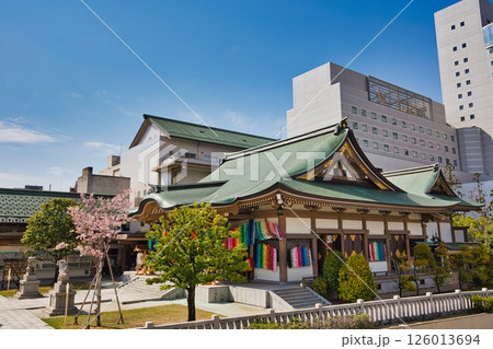 さくら満開の福井城祉お堀 さくら満開の福井城祉お堀 126013694