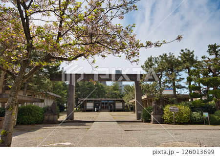 さくら満開の福井城祉お堀 さくら満開の福井城祉お堀 126013699