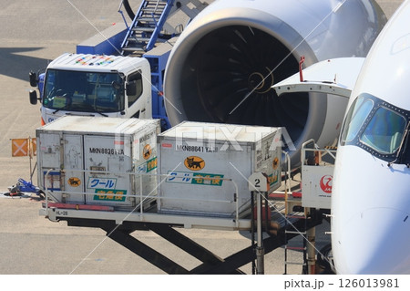出発準備の旅客機　貨物の積み込み 126013981