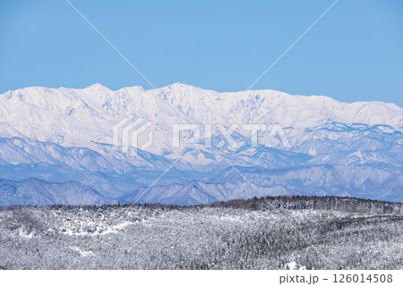 長野県北横岳から望む白馬三山 126014508