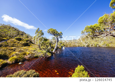 Wombat Pool at Cradle Mountain in Tasmania Australia 126014745