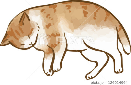 転がる猫 126014964