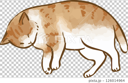 転がる猫 126014964