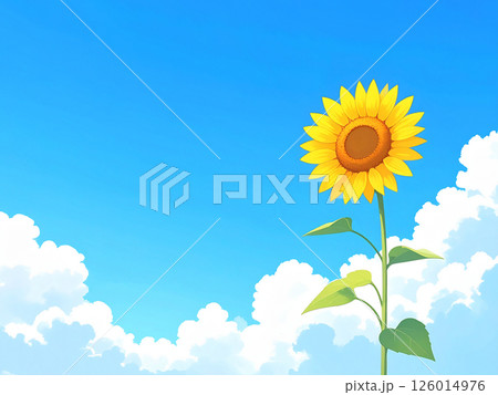 ひまわりと青空 ひまわりと青空 126014976
