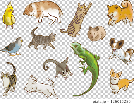 Various pets 126015286