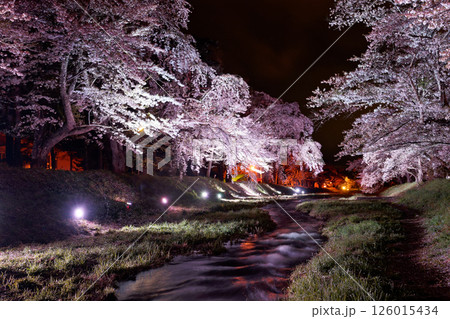 春のライトアップされた夜桜 126015434