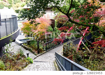 湯河原町　万葉公園湯河原惣湯の万葉亭と散策路と紅葉 126015453