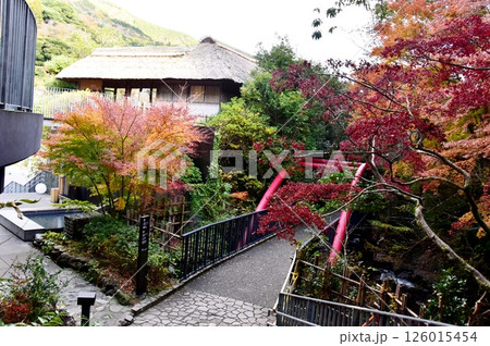 湯河原町　万葉公園湯河原惣湯の万葉亭と散策路と紅葉 126015454