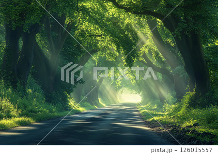 A winding road through a dense forest, illuminated by sunbeams filtering through lush foliage, creating a serene and enchanting atmosphere. 126015557
