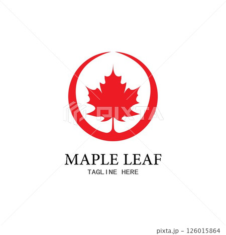 Maple leaf vector illustration Maple leaf vector illustration 126015864