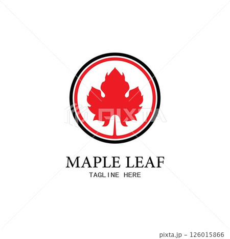 Maple leaf vector illustration Maple leaf vector illustration 126015866