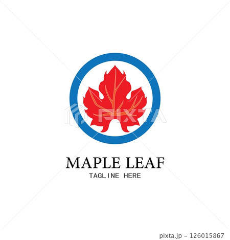 Maple leaf vector illustration Maple leaf vector illustration 126015867