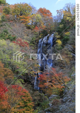 宮崎県の白滝 126015880