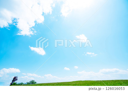 青空と草原 青空と草原 126016053
