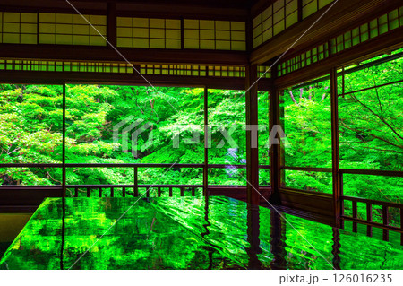 瑠璃光院の新緑と写り込み 126016235