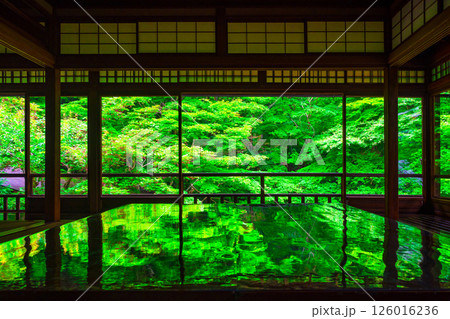 瑠璃光院の新緑と写り込み 126016236