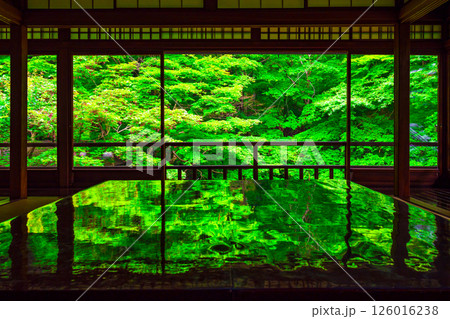 瑠璃光院の新緑と写り込み 126016238
