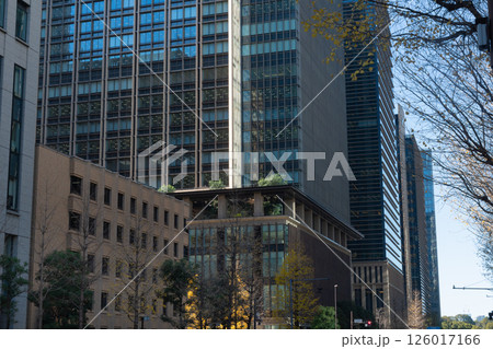 ビルに映る黄葉 126017166