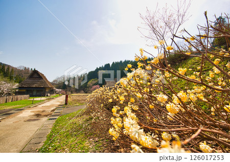 悠久ロマンの杜に春が来る 126017253