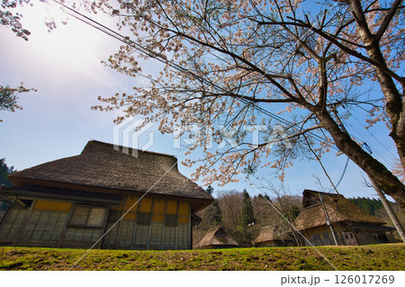 悠久ロマンの杜に春が来る 126017269