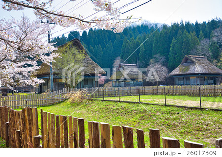 悠久ロマンの杜に春が来る 126017309