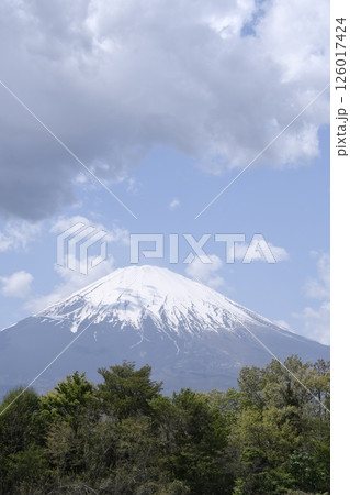 雲被る富士 126017424