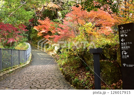 湯河原町　万葉公園湯河原惣湯の散策路と紅葉と道案内 126017915