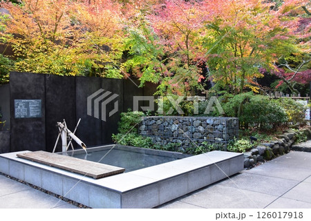 湯河原町　万葉公園湯河原惣湯玄関テラスの足湯と紅葉 126017918