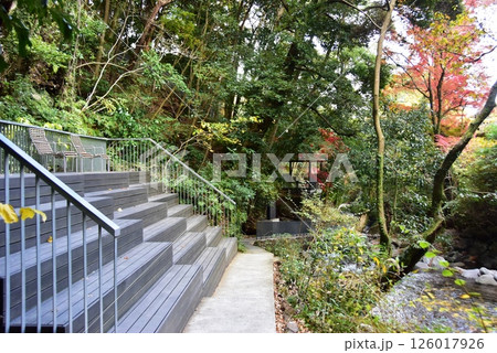 湯河原町　万葉公園湯河原惣湯川の道とテラスと紅葉と千歳川 126017926