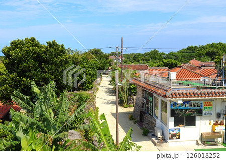 竹富島の赤瓦の住宅と白い路地 126018252