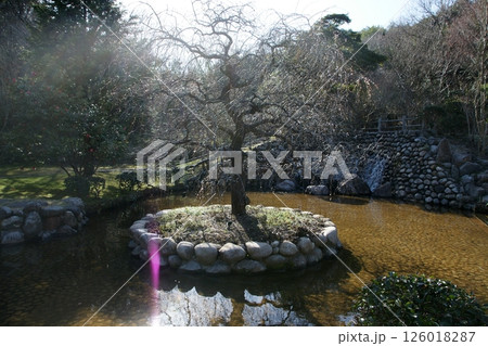 鳥取 四季の散歩 春 桜 ひな祭り 鳥取 四季の散歩 春 桜 ひな祭り 126018287