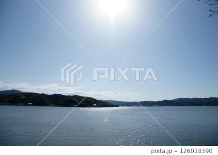 鳥取　四季の散歩　春　桜 126018390