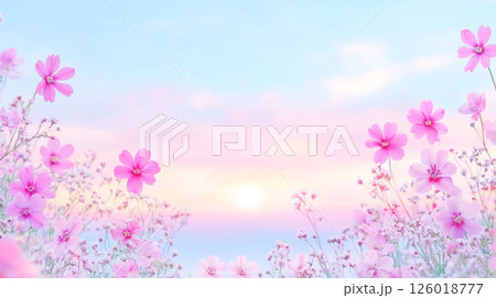 コスモスのある風景 コスモスのある風景 126018777