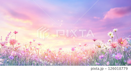 夕焼けに染まる幻想的な花畑と春の光 126018779