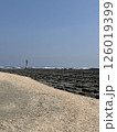 宮崎県青島の鬼の洗濯板と灯台 126019399